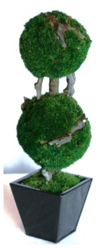19 inch   Double Moss Topiary